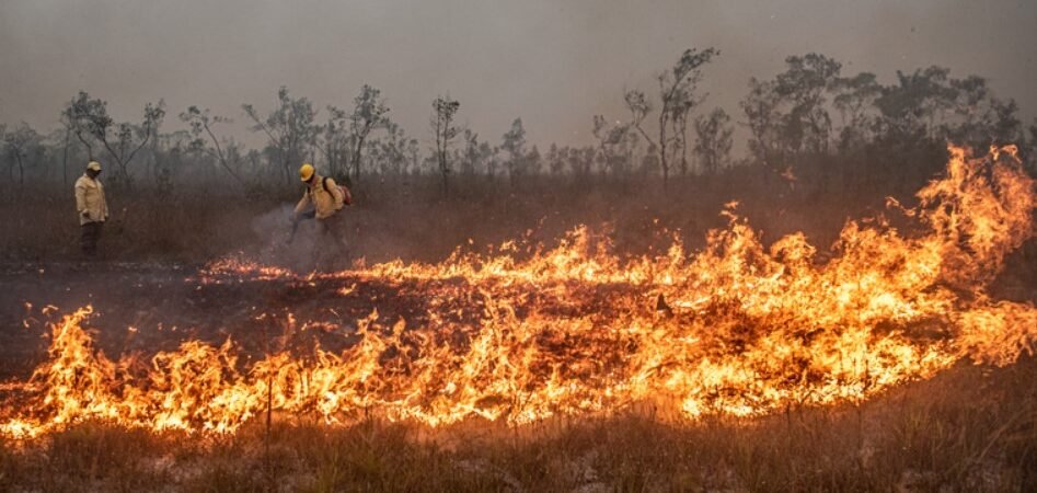 De 11 deputados, só um se lembrou do clima: bancada do Amazonas destina apenas R$ 710 mil para queimadas e recursos hídricos em 2026